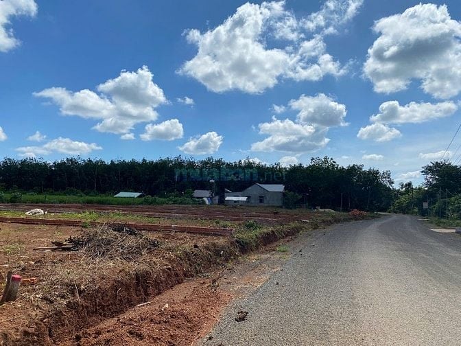 📍 Đất Trung Tâm Long Hà – Dân Cư Đông Đúc, Đầu Tư An Toàn 📍