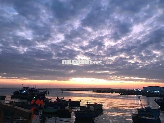 Đất đẹp gần biển tìm chủ đầu tư Xã Tân Điền , Gò Công Đông ,Tiền Giang