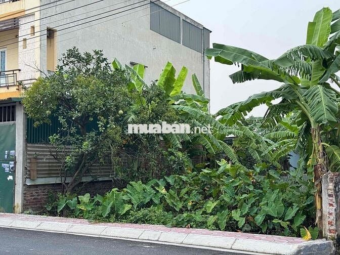 Đất thổ cư , đất sổ đỏ 200 m2 thôn bài trượng -quảng bị  hà nội