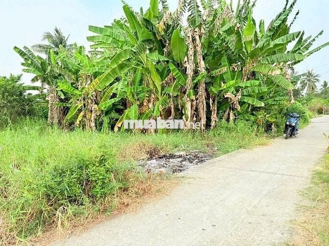 Chính Chủ Bán Lô Đất Đường Trần Văn Đức, Bình Lãng, Tân Trụ, Long An