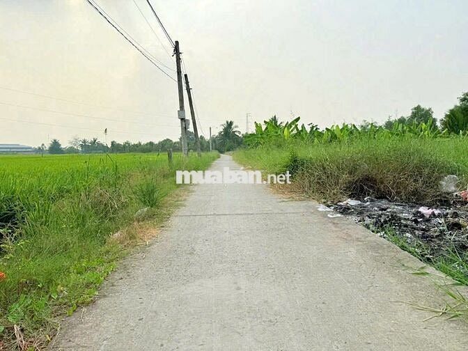 Chính Chủ Bán Lô Đất Đường Trần Văn Đức, Bình Lãng, Tân Trụ, Long An