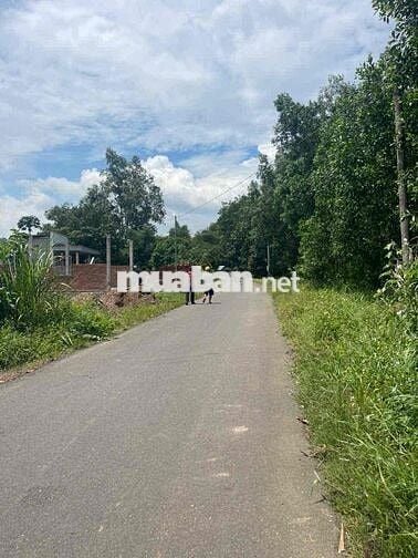 Đất nền xã An Viễn gần ủy ban chợ kcn Giang Điền 1 tỷ 1 bao sổ.