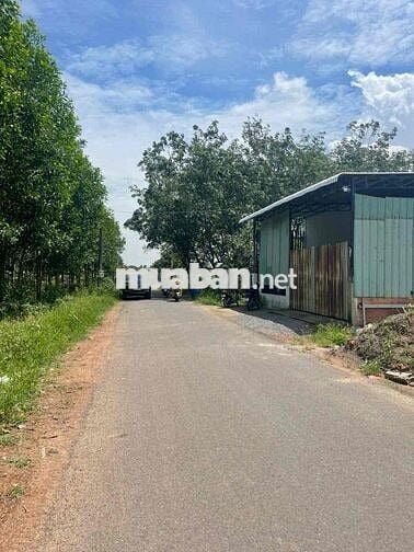 Đất nền xã An Viễn gần ủy ban chợ kcn Giang Điền 1 tỷ 1 bao sổ.