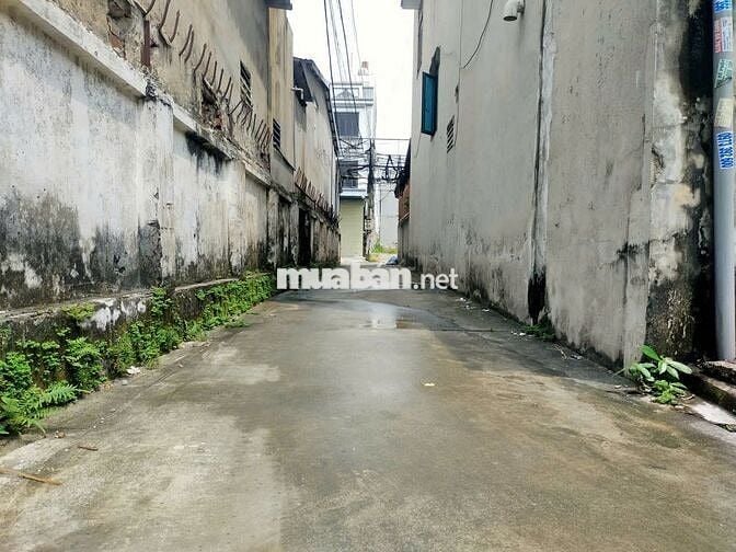 Cần bán nhanh đất Phượng Đồng, Phụng Châu. Giá rẻ 2.6 tỷ