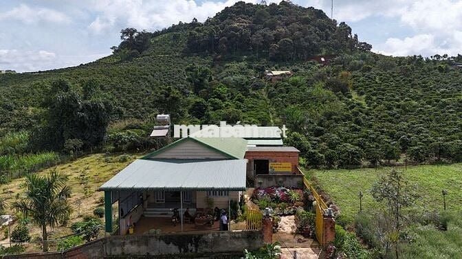 Combo nhà -vườn -ao -chuồng 1700m2 ven Đà Lạt chỉ 2 tỷ 500 triệu