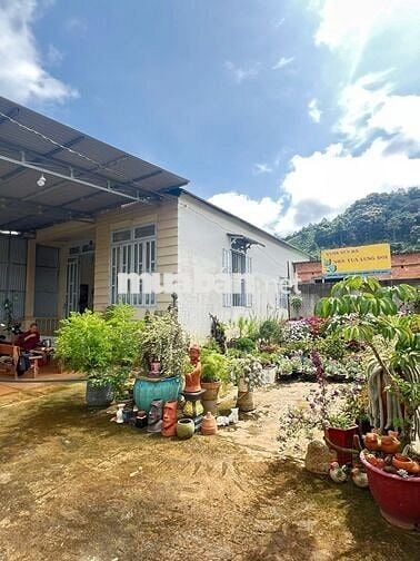 Combo nhà -vườn -ao -chuồng 1700m2 ven Đà Lạt chỉ 2 tỷ 500 triệu