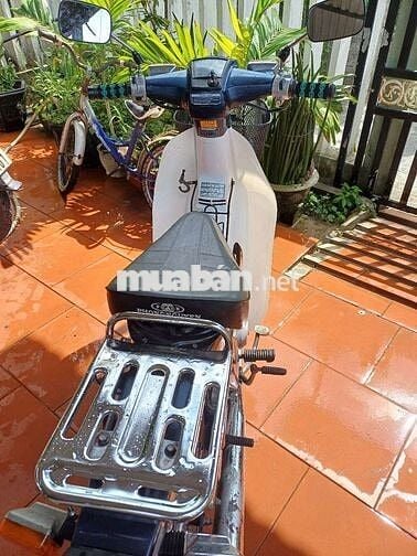 Xe 50 cc cho học sinh