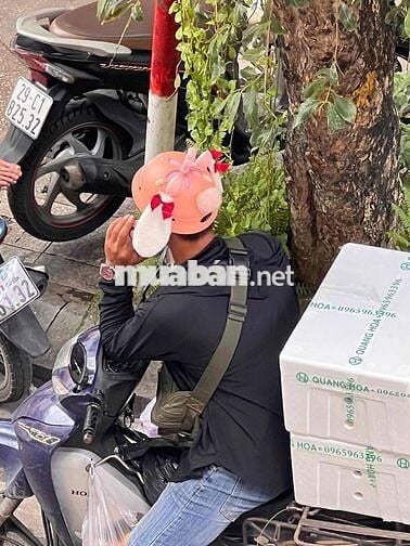 mình cần bán bigboy 250cc