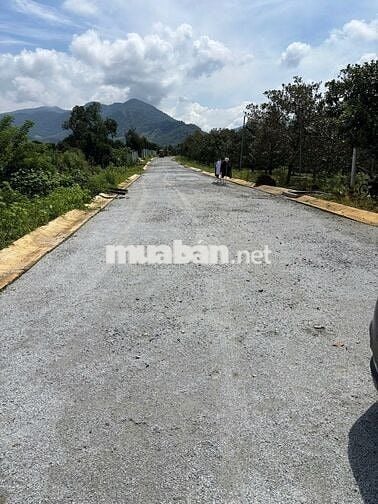 Vườn măng cụt chôm chôm 9000 m2 thị trấn Đạ MRi