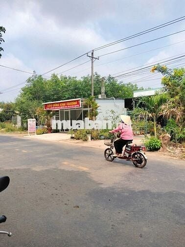 Đất DH 509 đối điện KCN An Linh Phú Giáo HCM giá 750tr /489m2 sổ sẳn