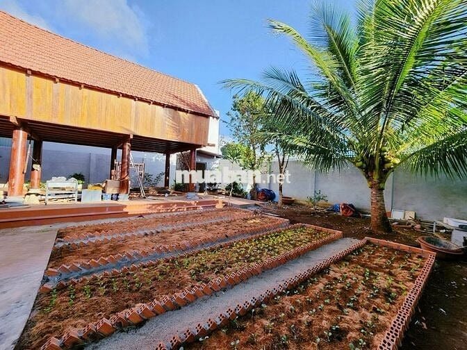 📣 CẦN BÁN BIỆT THỰ SÂN VƯỜN ĐẸP – GẦN TRUNG TÂM TP. BUÔN MA THUỘT