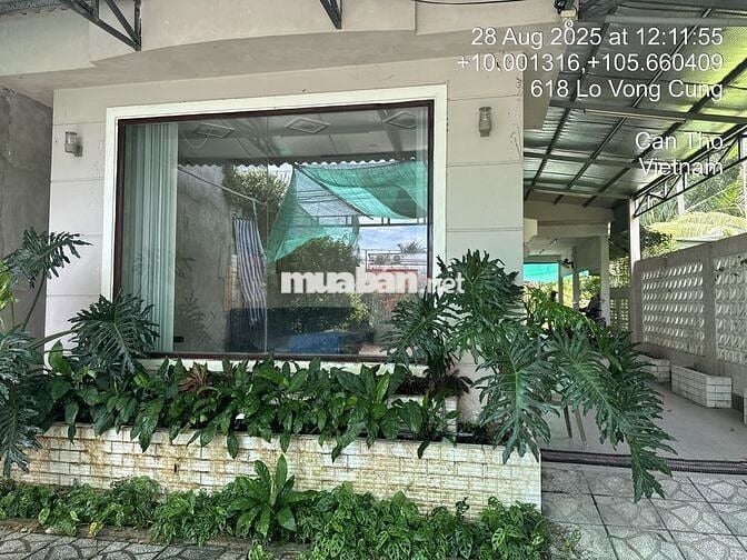 Cần bán 2.466 m2 đất trung tâm huyện Phong Điền