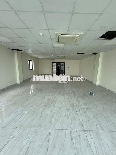 Thuê văn phòng giá rẻ Quận Tân Bình, Cửu Long 60-80-140m² giá ưu đãi