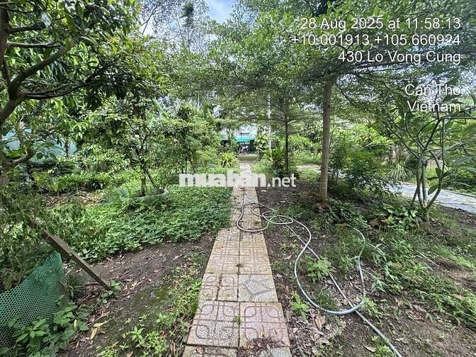 Cần bán 2.466 m2 đất trung tâm huyện Phong Điền