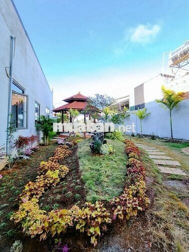 📣 CẦN BÁN BIỆT THỰ SÂN VƯỜN ĐẸP – GẦN TRUNG TÂM TP. BUÔN MA THUỘT