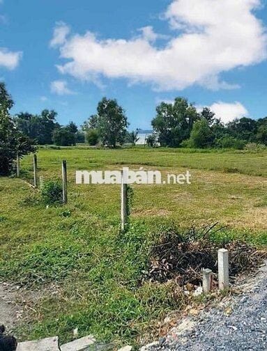 132M2 ĐẤT GIÁ CHỈ 550 TRIỆU THỔ CƯ 100% PHẠM THỊ THÀNG, PH, CỦ CHI