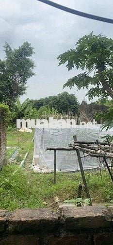SIÊU PHẨM PHÚ DIỄN 242 M2 – MẶT NGÕ THÔNG Ô TÔ TRÁNH – 13.3 TỶ
