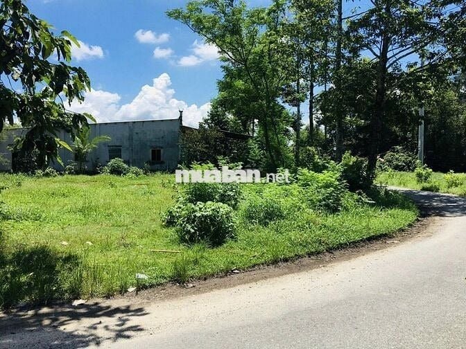 ĐƯA CON ĐI DU HỌC, ANH HÙNG BÁN MIẾNG ĐẤT 310M2 2 MẶT TIỀN ĐƯỜNG NHỰA