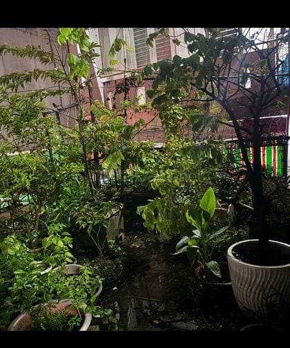 Bán nhà Q10 Điện Biên Phủ 6,6x8,5m nhà 4 tầng chỉ 8,2 tỷ.