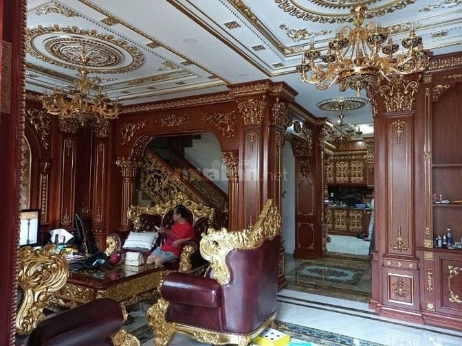 BÁN BIỆT THỰ ĐƯỜNG LÊ ĐỨC THỌ, Q. GÒ VẤP 