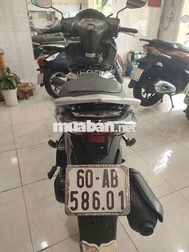 Ab biển ĐN xe đẹp rin mộc máy bao rin êm