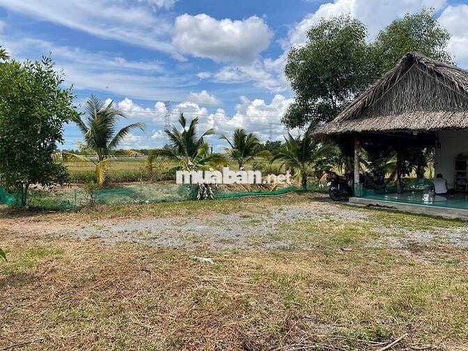 🌳 BÁN NHÀ VƯỜN 613M² – VĨNH THANH, NHƠN TRẠCH – GIÁ CHỈ 1 TỶ 600 TRIỆU