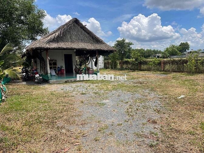 🌳 BÁN NHÀ VƯỜN 613M² – VĨNH THANH, NHƠN TRẠCH – GIÁ CHỈ 1 TỶ 600 TRIỆU
