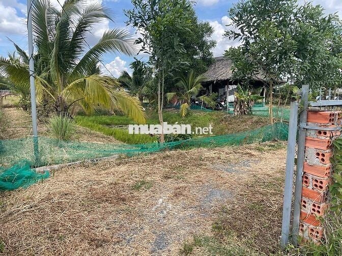 🌳 BÁN NHÀ VƯỜN 613M² – VĨNH THANH, NHƠN TRẠCH – GIÁ CHỈ 1 TỶ 600 TRIỆU