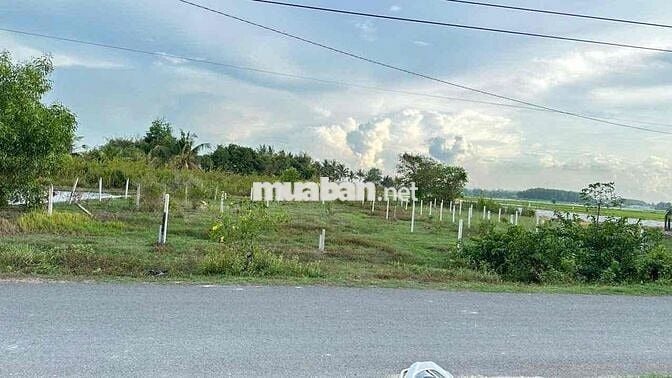 Đất mặt tiền Bàu Sen, 5*31, full thổ, gia 790tr, Gò Dầu, TN