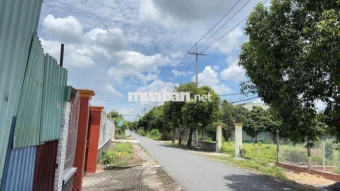 Bán đất gần trường THCS Tân Thông Hội ngay QL22 200m, giá tốt, SHR