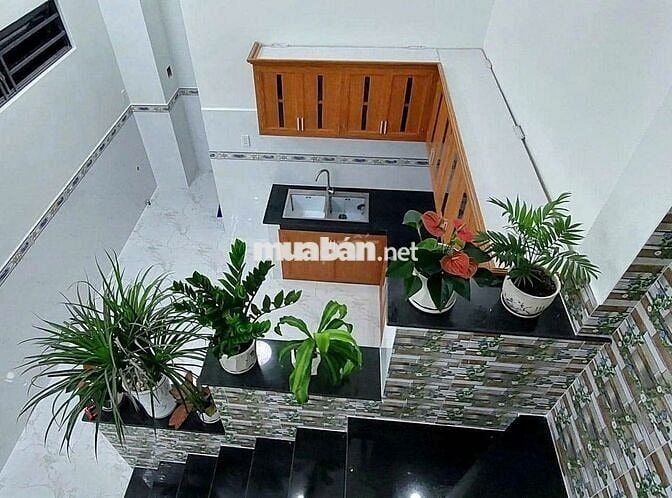 BÁN DÃY TRỌ GẤP KHU DÂN CƯ TÂN NHỰT BÌNH CHÁNH CÓ SỔ SÁT CHỢ ĐƯỜNG TO