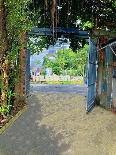 Phòng mới ngay cầu 201, gần khu công nghiệp biên hoà 2