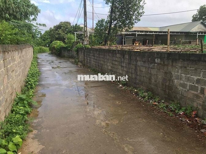 Gia đình cần bán 250m² (100m² thổ cư)TC trung tâm KCN Nhuận Trạch