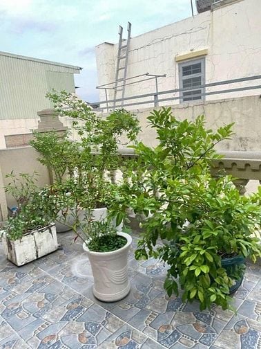 Biệt thự cao cấp gò vấp 176m2 dát vàng 12 phòng nội thất châu âu