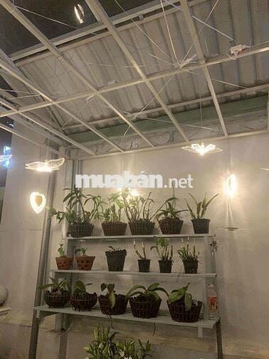 Chính Chủ Cần Bán Nhà Hẻm 1/ Đường Nguyễn Tri Phương P. Vườn Lài Q10