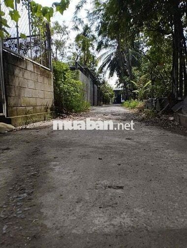 cần bán lô đất vĩnh phú 38a. DT 112m2 có 70m thổ cư đường xe hơi
