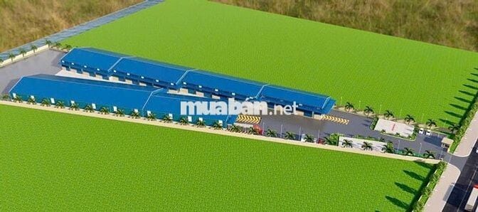 Kho xưởng 4.200m² có PCCC tự động và điện ba pha, đường Quốc Lộ 61C