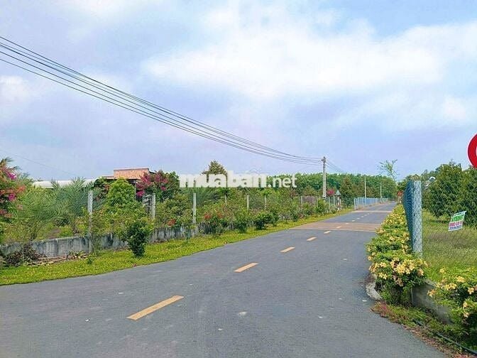 Đất TPHCM mới - ngay TTHC An Linh, 199,1m2 (100mtc) bán 360tr bao sổ.