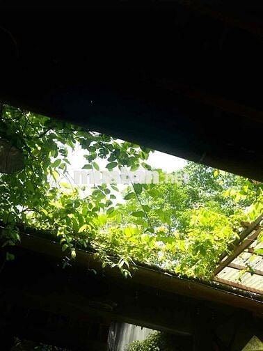 💯💯CĂN HỘ NỔI BẬT-GẦN CÔNG VIÊN GIA ĐỊNH, NGAY ĐH CÔNG NGHIỆP,VĂN LANG