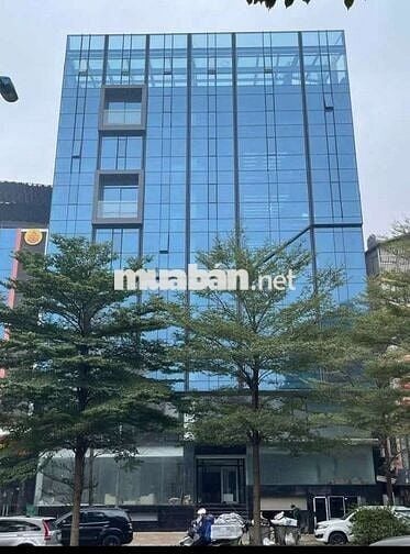 Tôi cần bán tòa nhà mặt phố Đường Láng 12tầng , 2 thang máy.