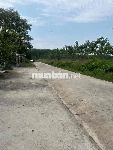 Bán lô đất cách quốc lộ 13-1,5km, nằm sát KCN Minh Hưng 3