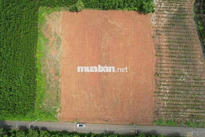 ĐẤT SÀO 3000M, THỔ CƯ 240m, ĐƯỜNG SỐ 90, LONG PHƯỚC BRVT