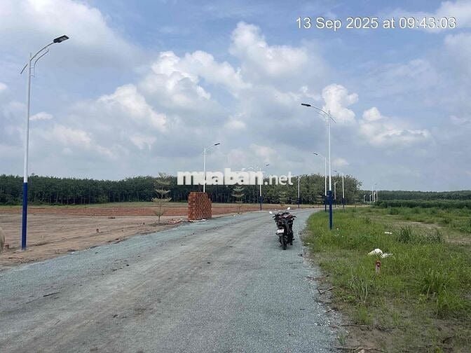Đất thổ cư sổ sẵn công chứng trong ngày