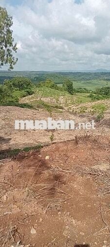 BÁN LÔ ĐẤT MTĐ NHỰA QL 29. XÃ CƯPRAO, MĐRĂK, ĐĂK LĂK.