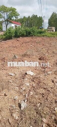 BÁN LÔ ĐẤT MTĐ NHỰA QL 29. XÃ CƯPRAO, MĐRĂK, ĐĂK LĂK.