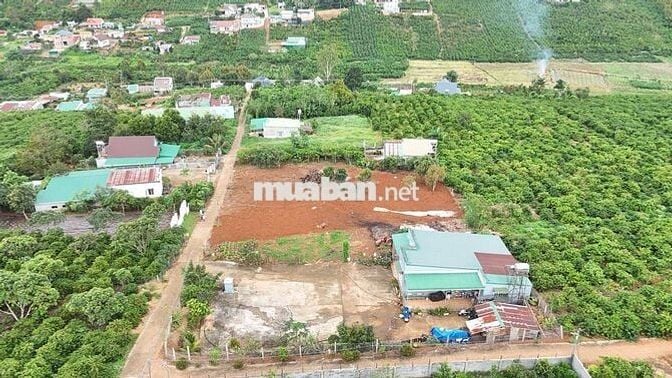 gần nút giao Cao tốc Tân Châu, khu dân cư