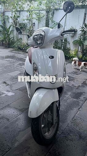 Bán xe Kymco Like 50cc dành cho học sinh
