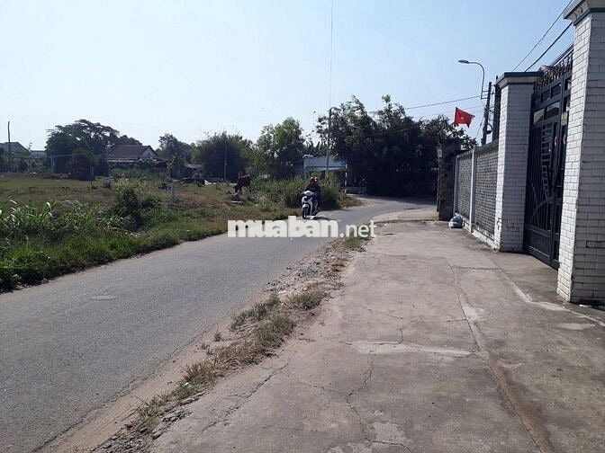 Bán Đất Thổ Cư - Củ Chi : 8x56 - Tân An Hội . Giá 1 tỷ 470 triệu