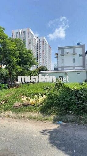 Bán gấp đất 120m2/550tr tại Đ. Lộ Thiên Hương, Rạch Giá,Kiên Giang,SHR