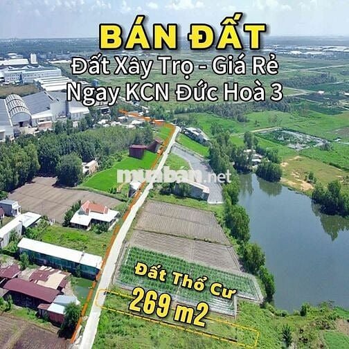 Đất kế bên KCN Đức Hoà 3 giâ tốt cho Anh Chị xây trọ đầu tư